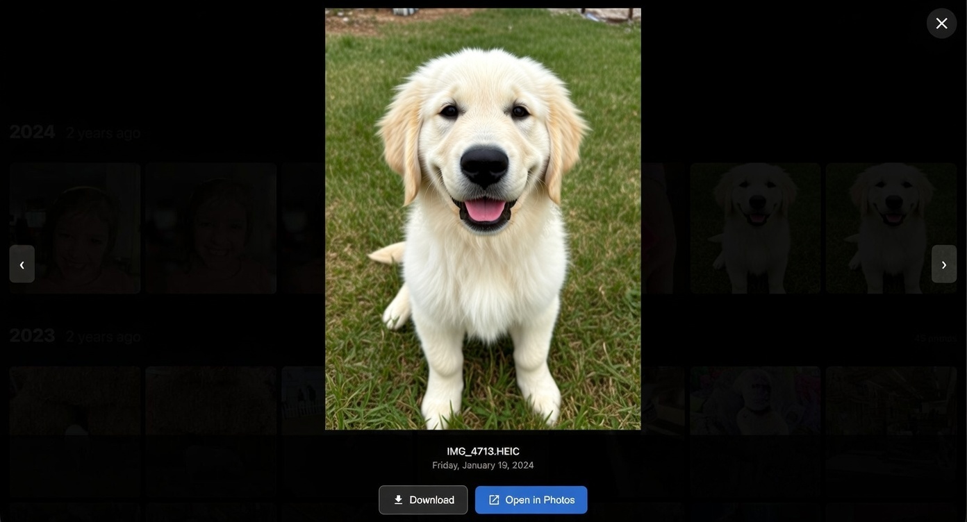 Synology Photos on this day feature - photo lightbox view